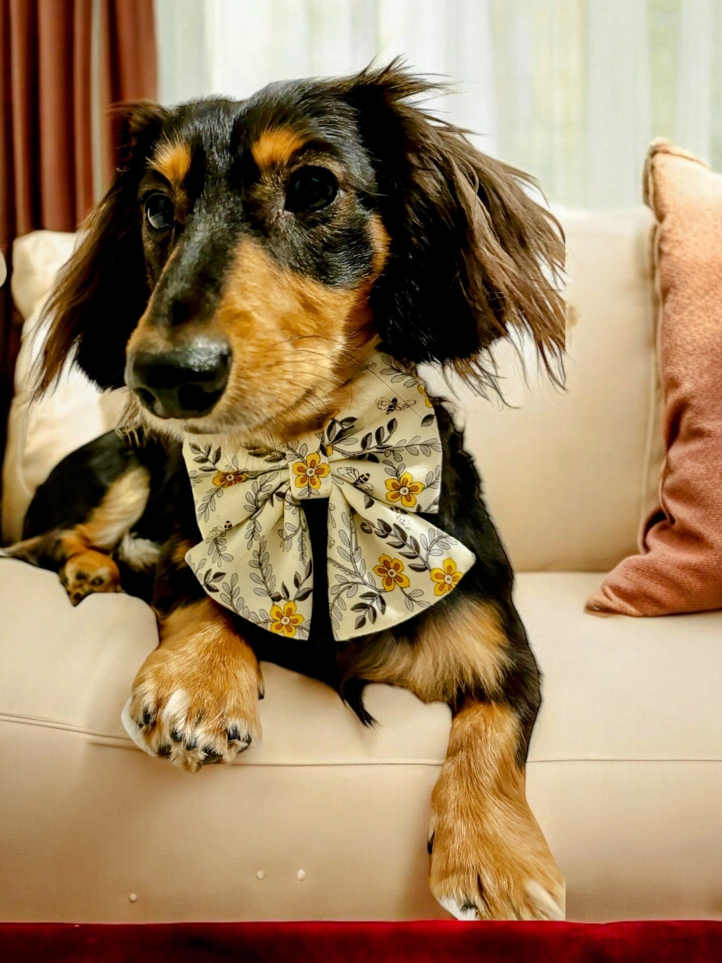 Bourgeois Bee Sailor Bow