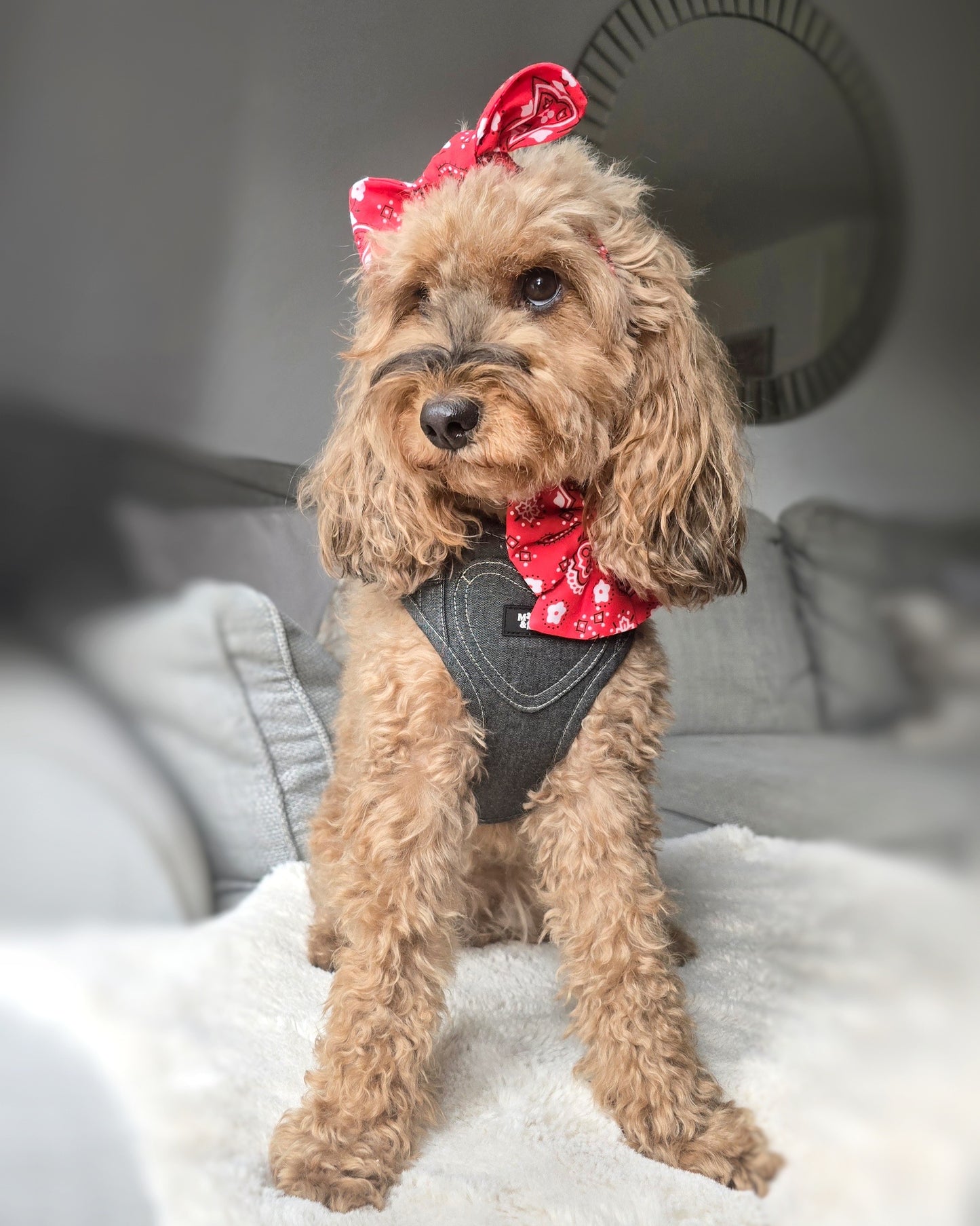Red Hillbilly Sailor Bow