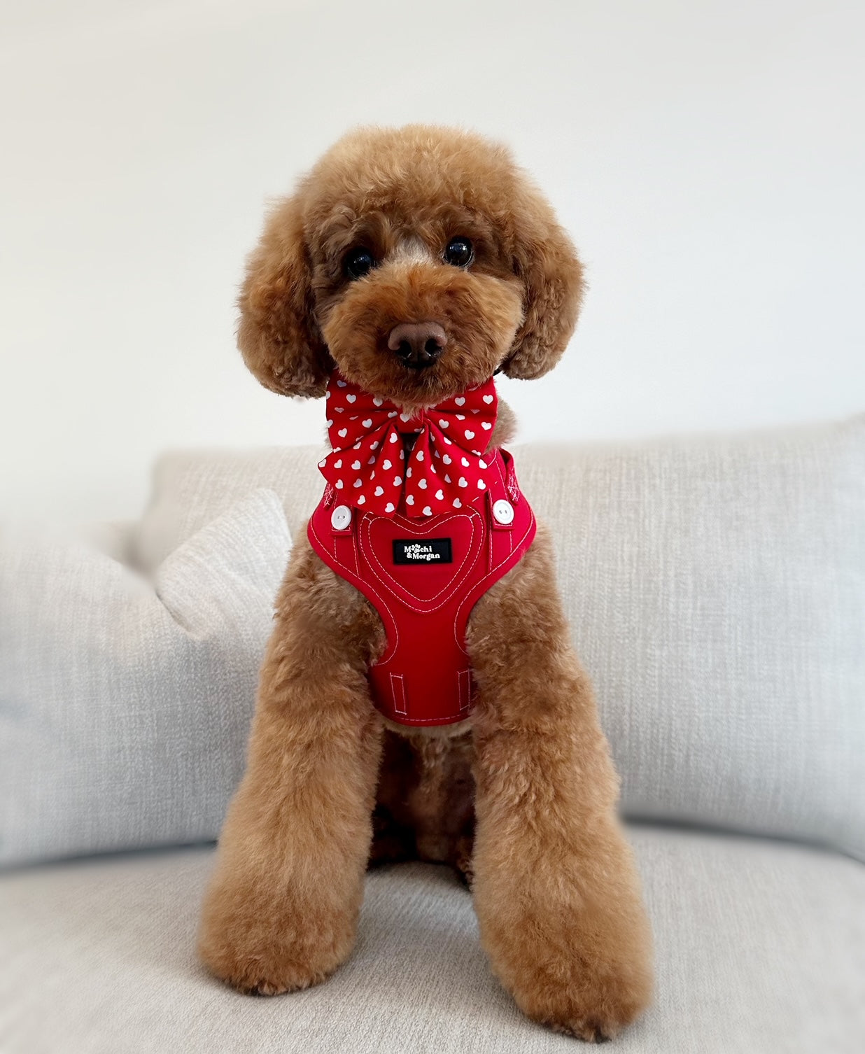 Mon Coeur Red Sailor Bow