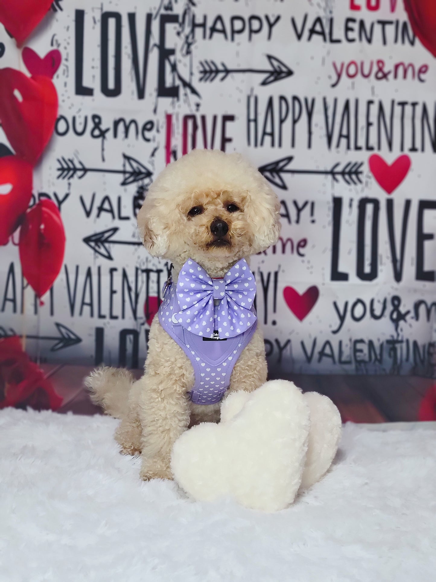 Mon Coeur Lilac Sailor Bow