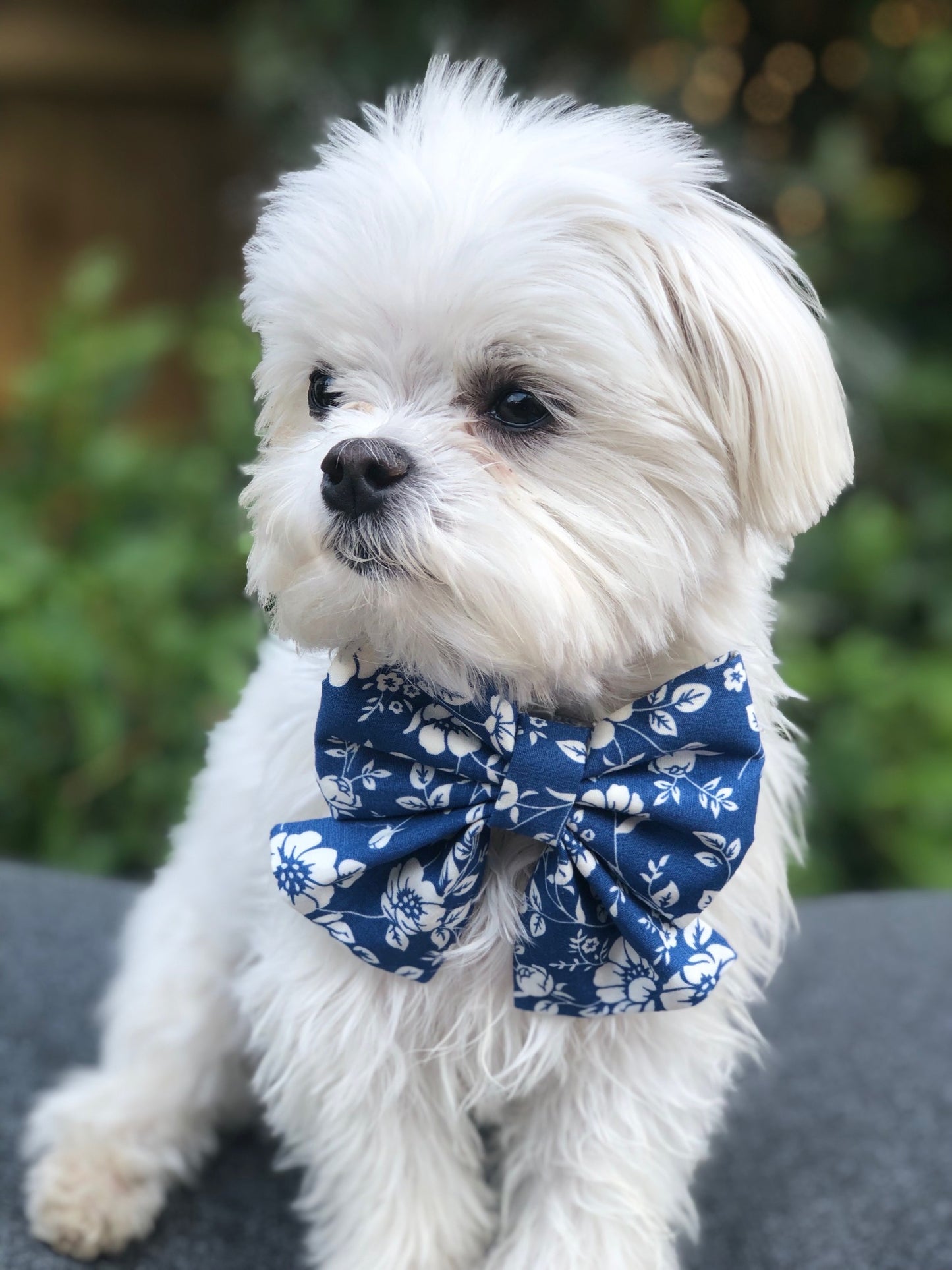Little Beau Blue Sailor Bow