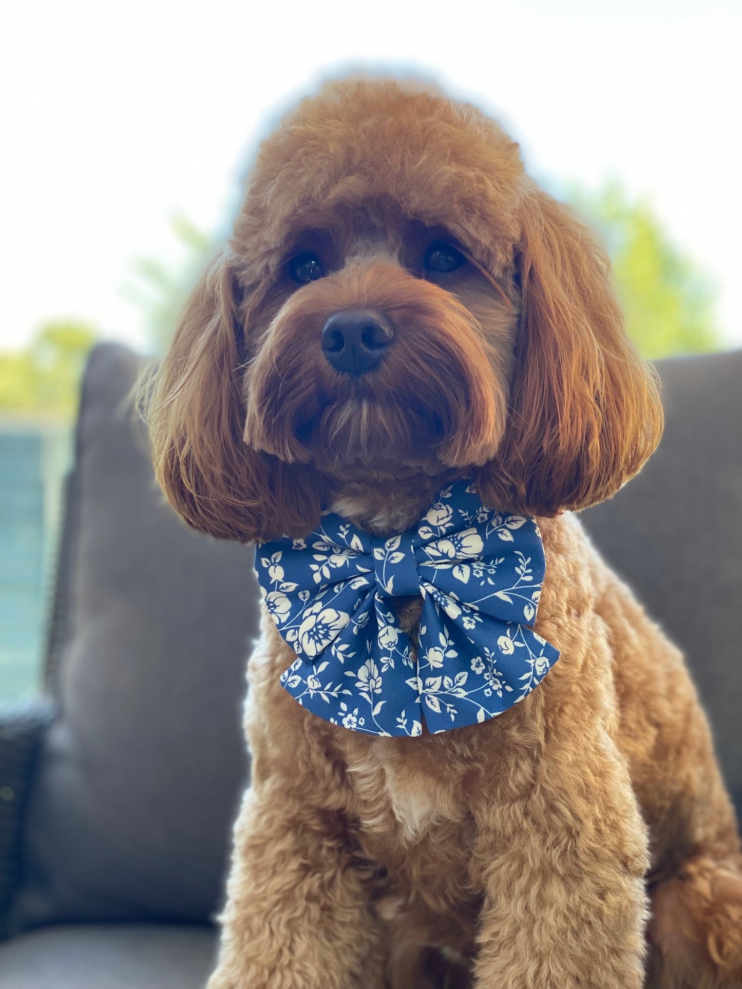 Little Beau Blue Sailor Bow