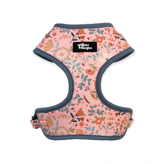 Once and FlorAll Harness