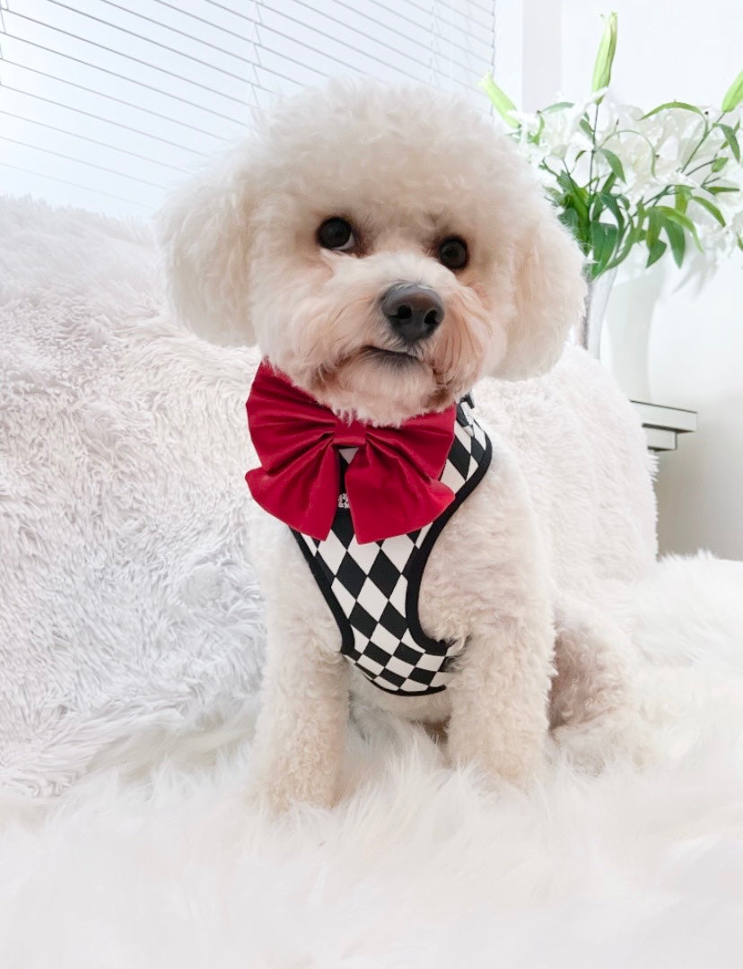 Loki Monochrome Harness