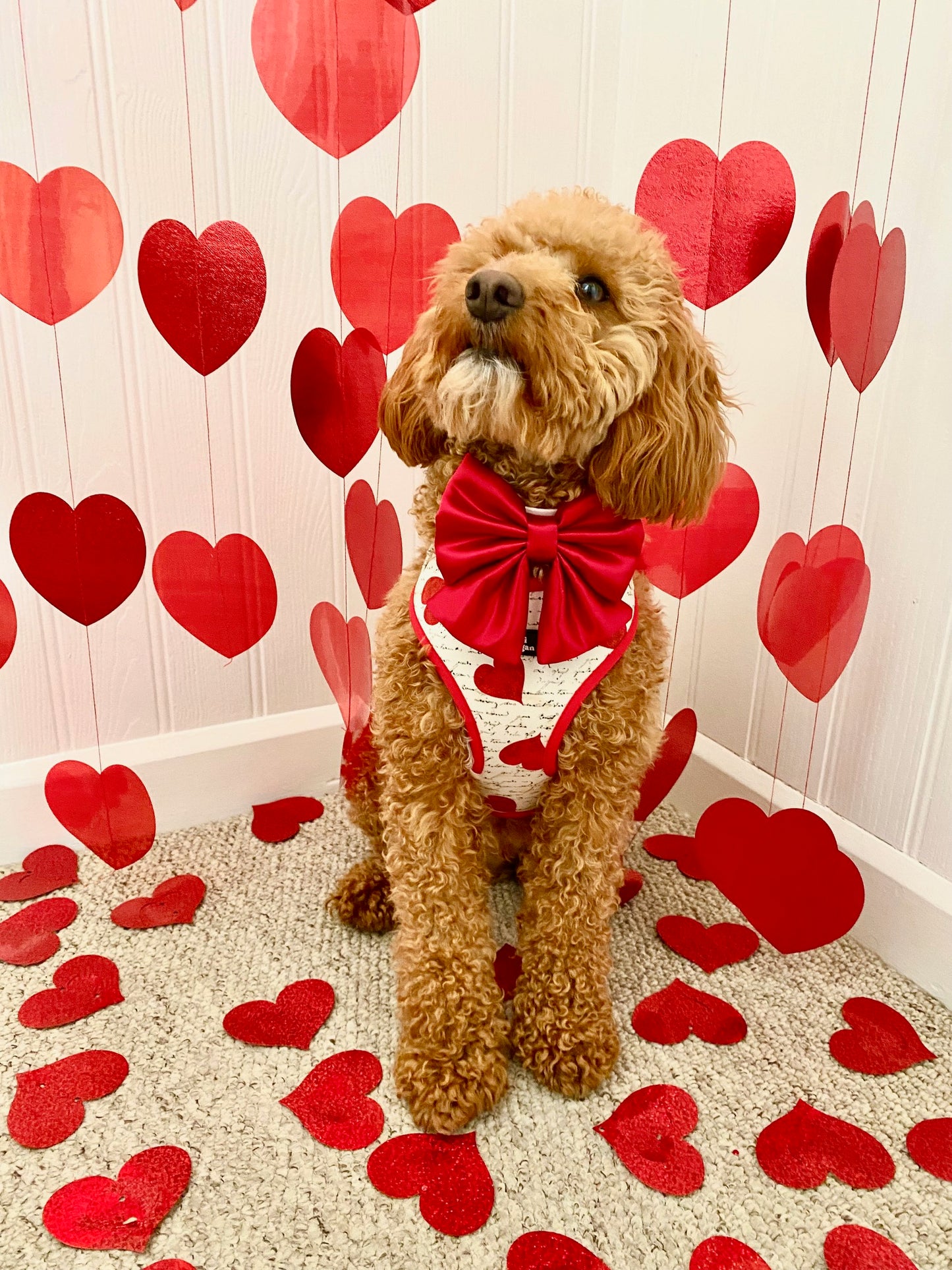 Shakespeare In Love Harness