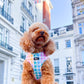Damier Pastel Dog Harness