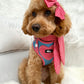 Red Gingham Neckerchief