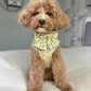 Koa Dog Harness