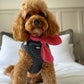 Red Gingham Neckerchief