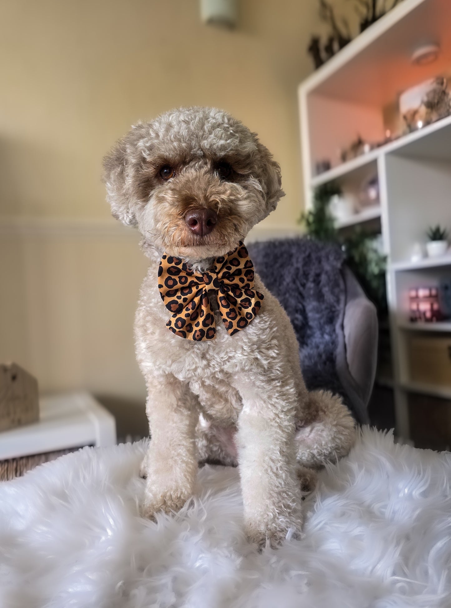 Leopard Sailor Bow