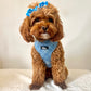 Mon Coeur Blue Dinky Bow