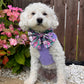 Lilac Budster Dog Harness