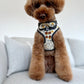 The Mod- Bourgeois Bee Dog Harness