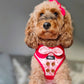 The Mod-New Romantic Dog Harness