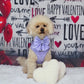 Mon Coeur Lilac Sailor Bow