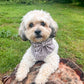 Mocha Moon Dog Harness