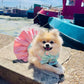 Pink Pawfection Sailor Bow