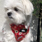 Woodland Garden Dog Harness