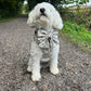 Boho Biscotti Dog Harness