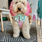 Damier Pastel Dog Harness