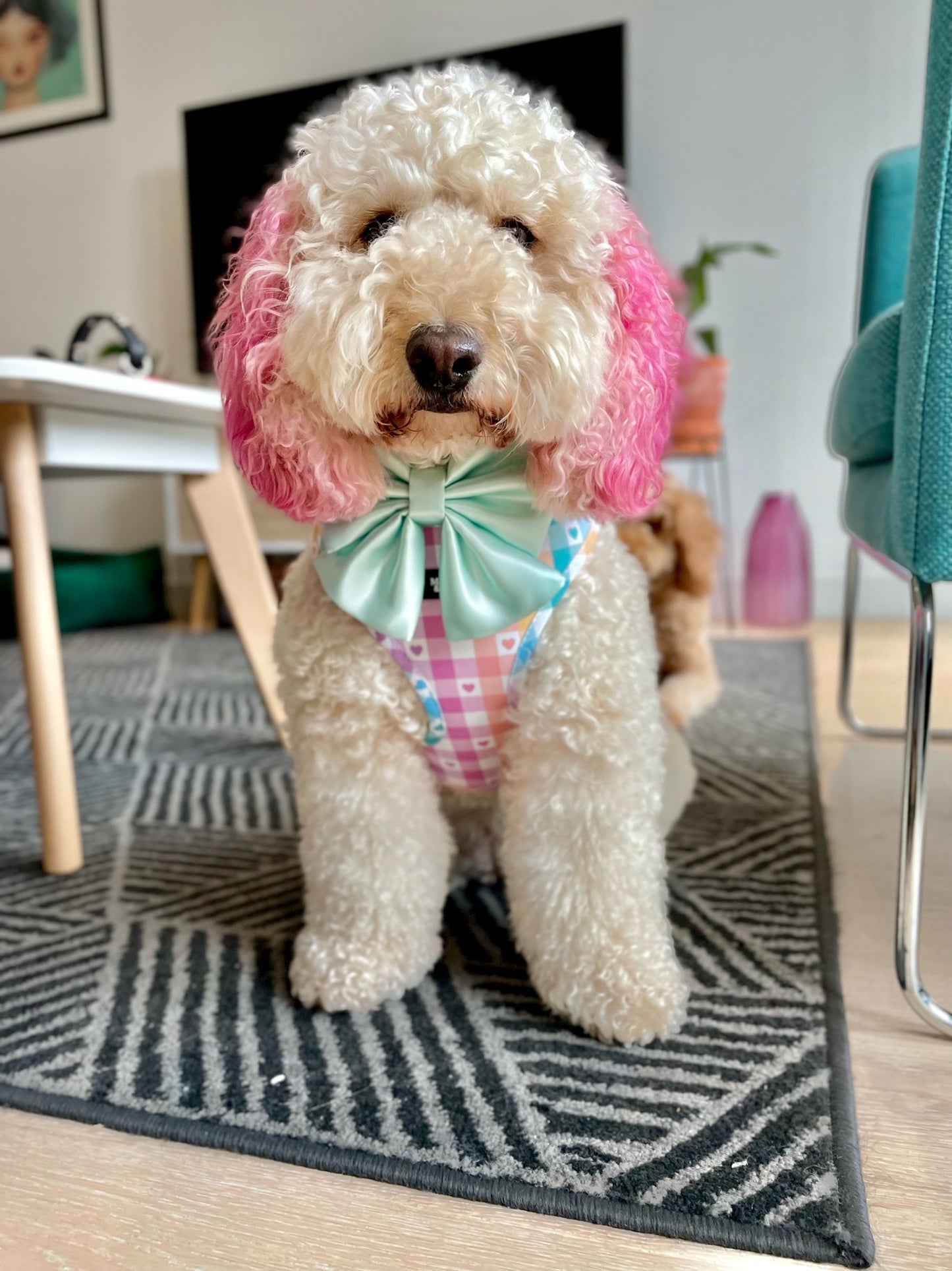 Damier Pastel Dog Harness