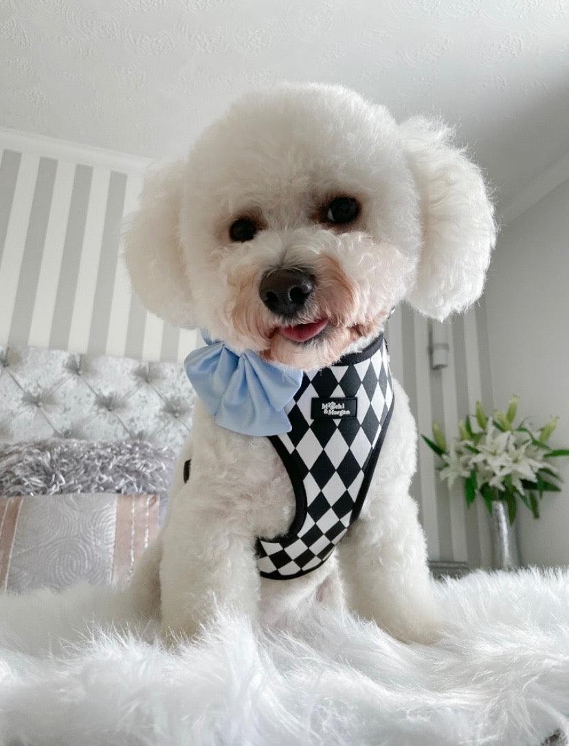 Loki Monochrome Harness
