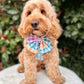 Damier Pastel Dog Harness