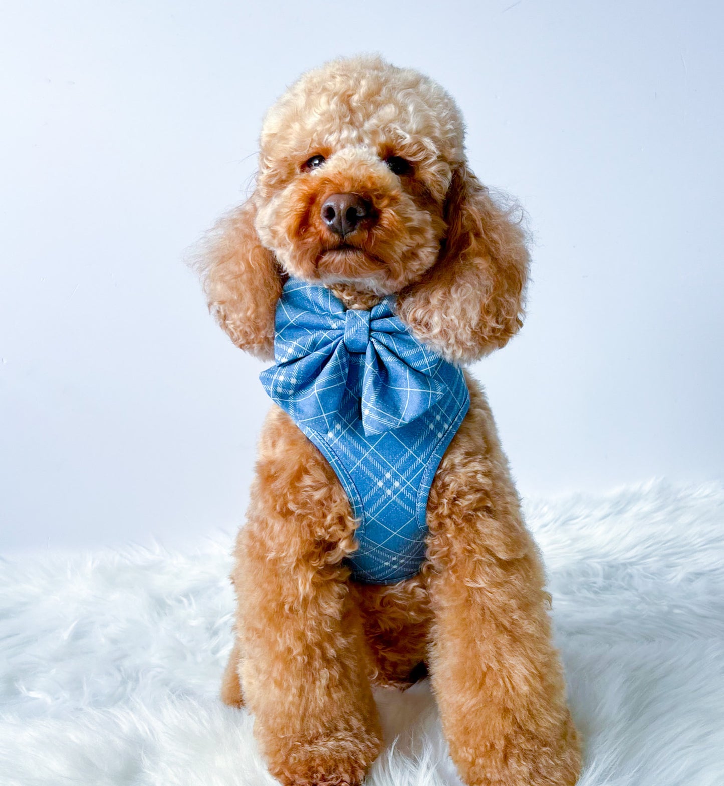 The Brentwood Harness