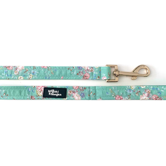 Pink Pawfection lead