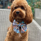 GeoPaws Sailor Bow
