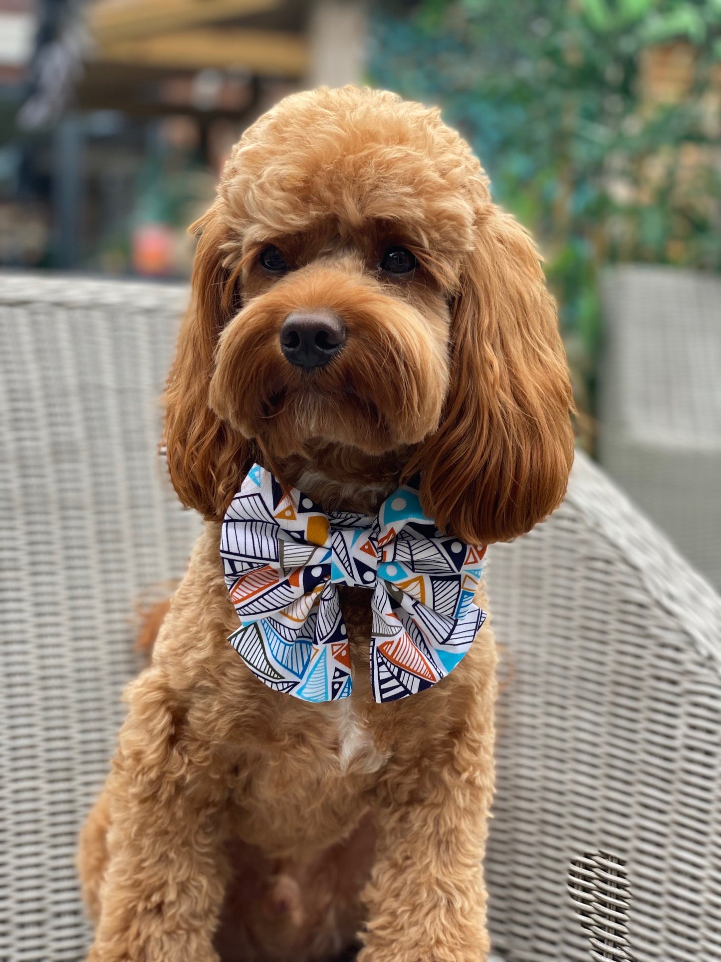 GeoPaws Sailor Bow