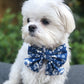 Little Beau Blue Sailor Bow