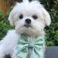 Mint To Be Sailor Bow