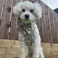 Boho Biscotti Dog Harness