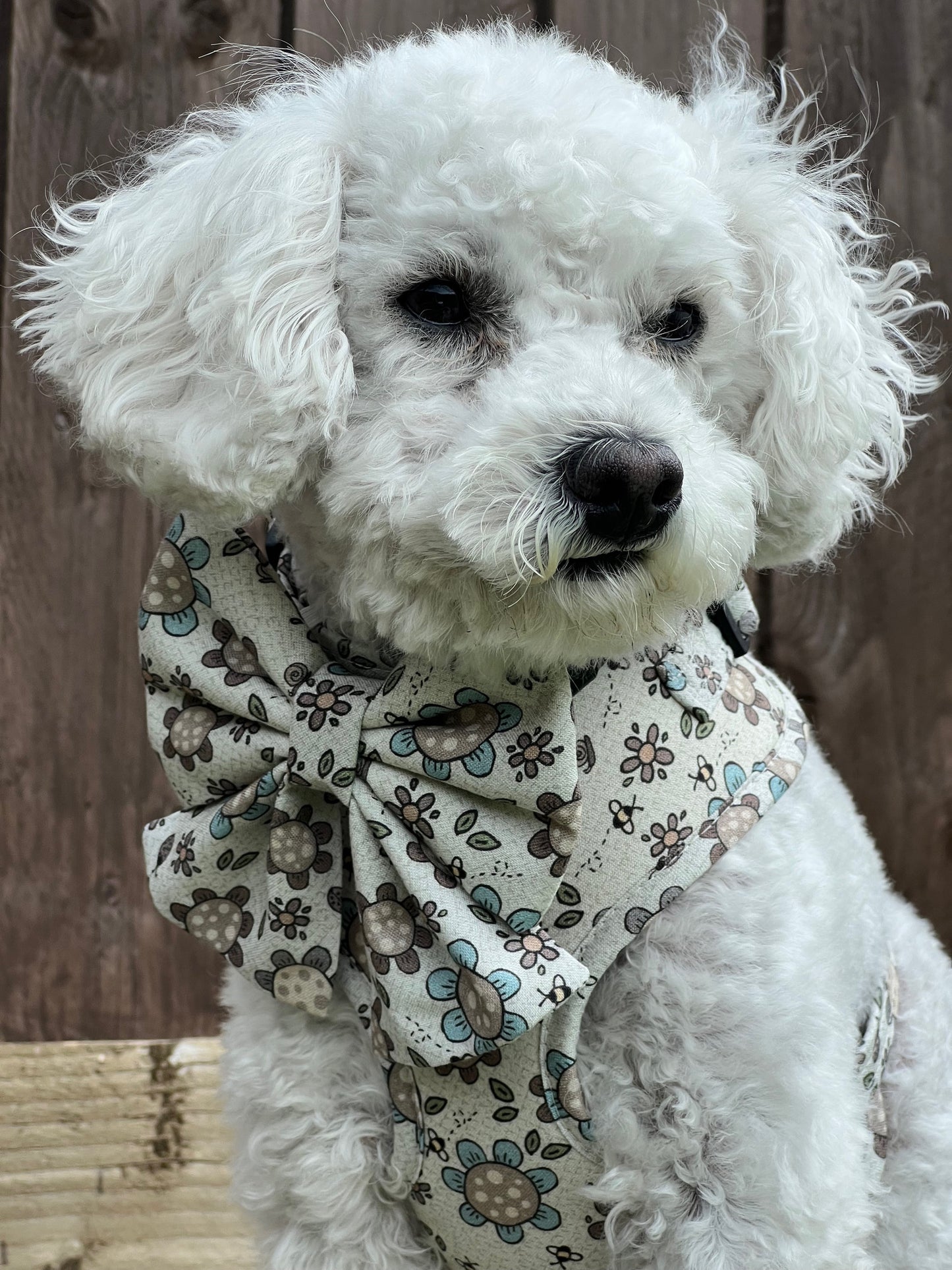 Boho Biscotti Dog Harness