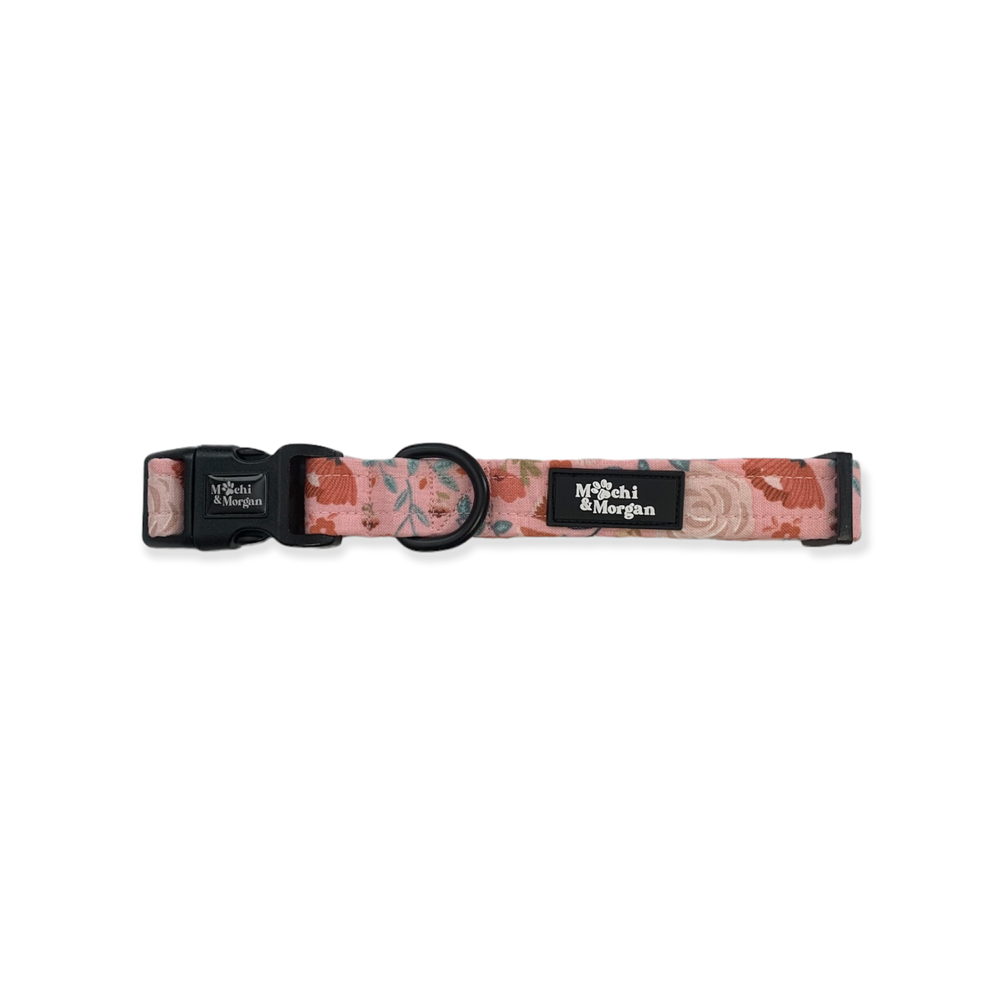 Once and FlorAll Collar