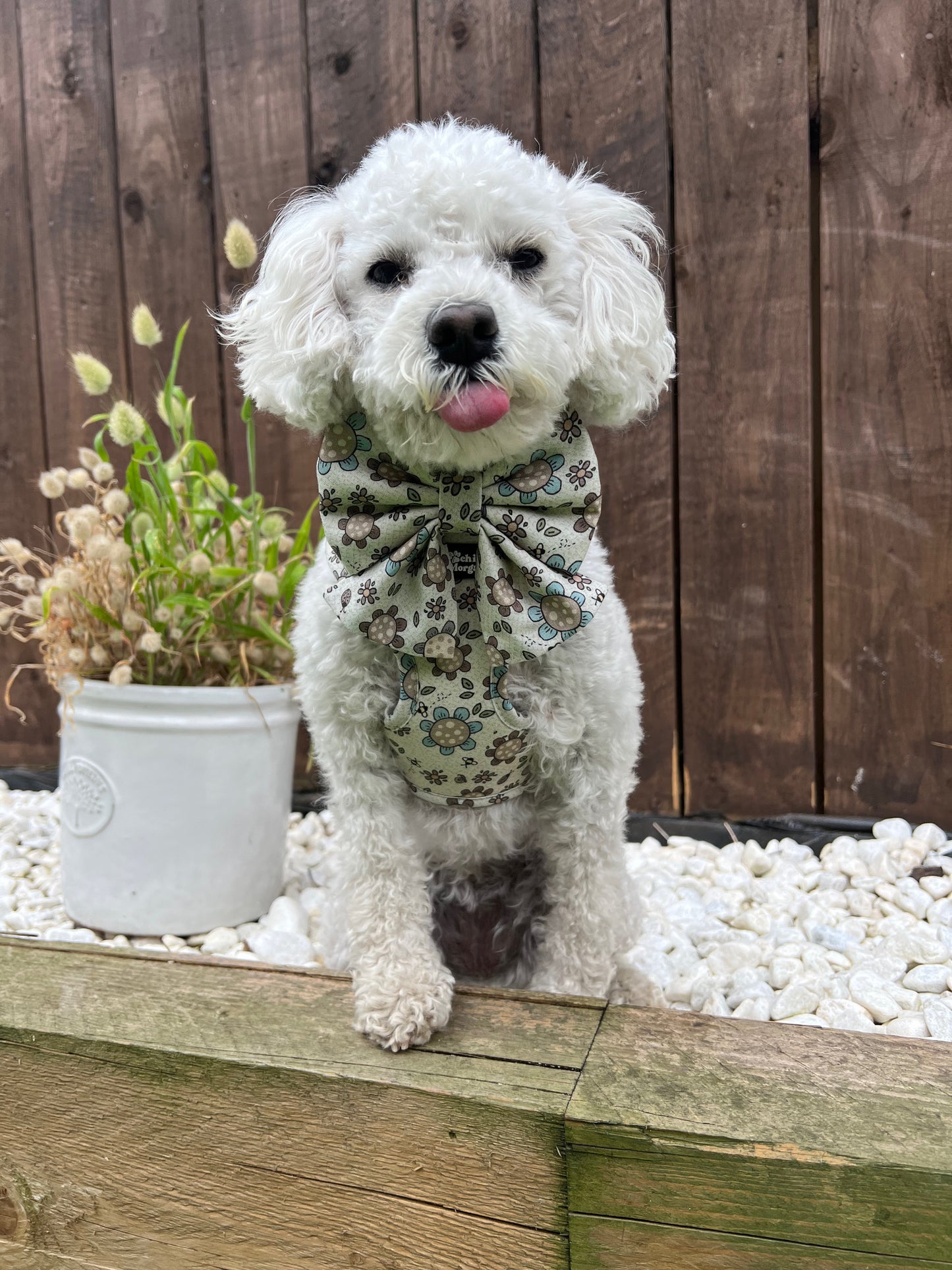 Boho Biscotti Dog Harness