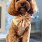 Vintage Garden Harness