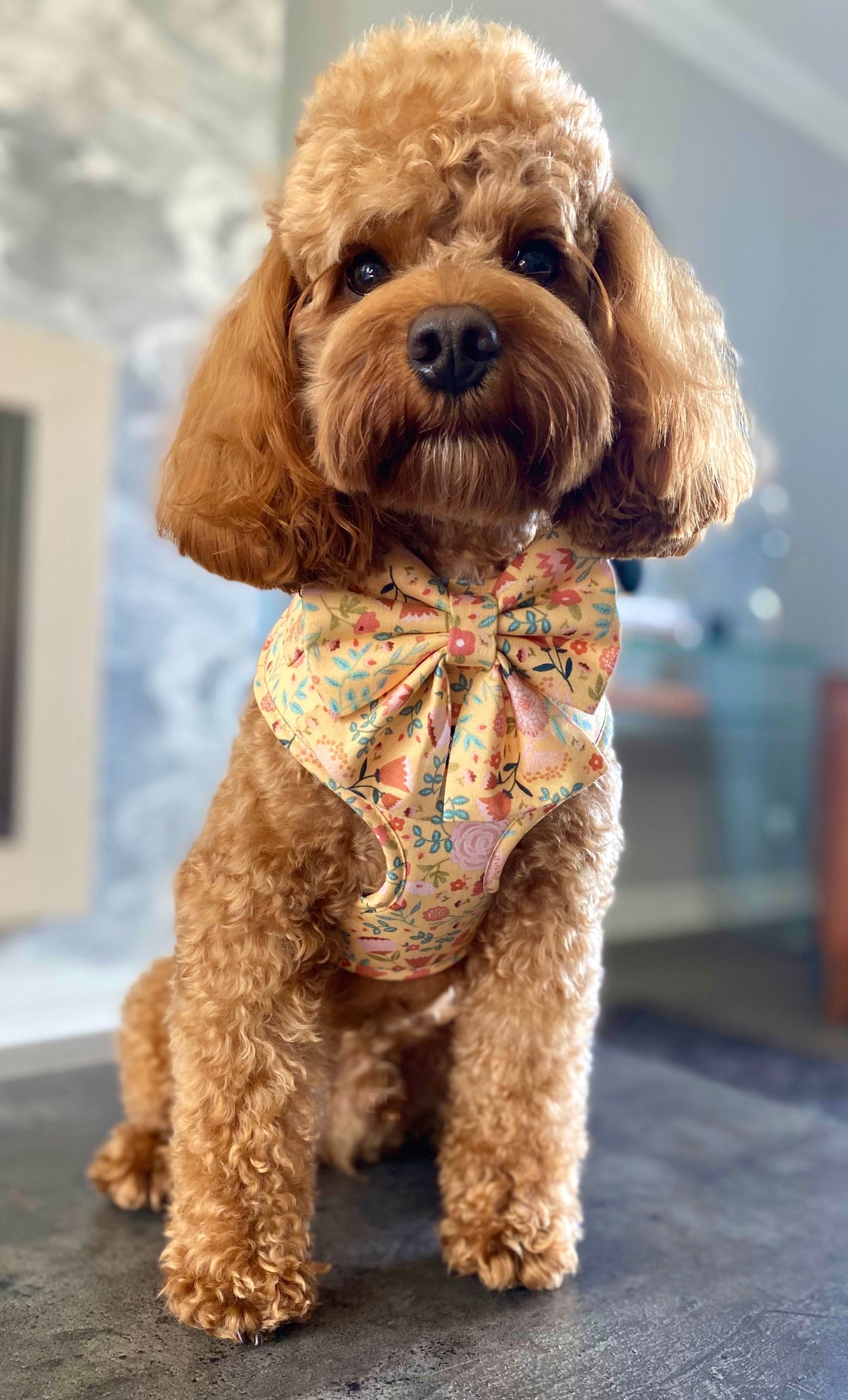 Vintage Garden Harness