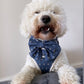 Dark Blue and Handsome Harness