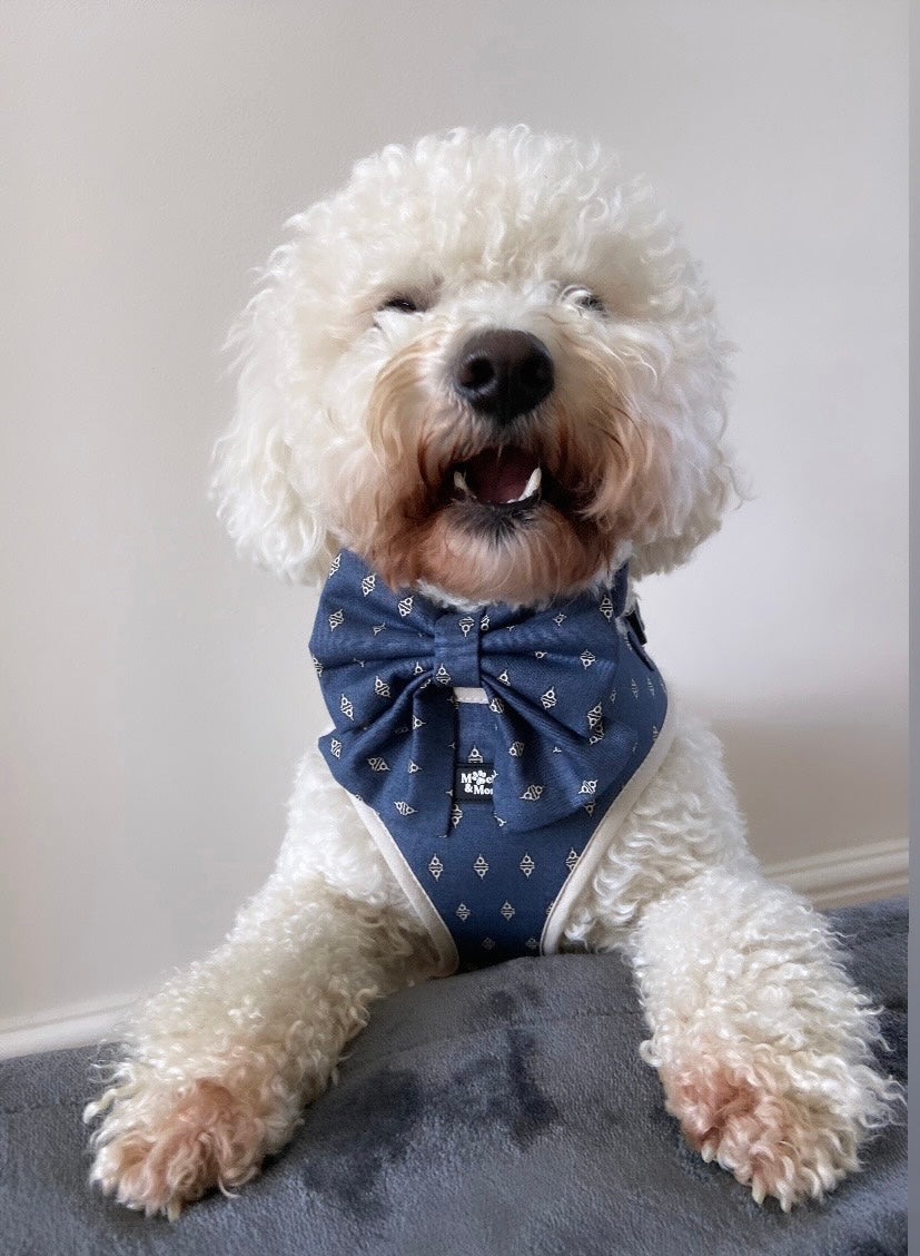 Dark Blue and Handsome Harness