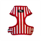 Strawberries & Cream Dog Harness