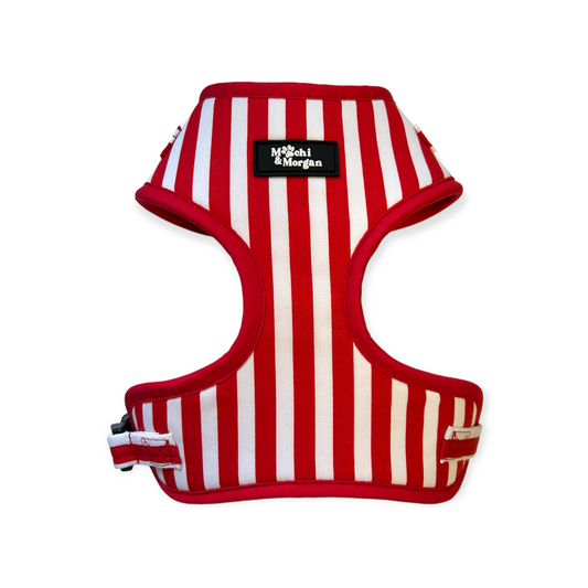 Strawberries & Cream Dog Harness