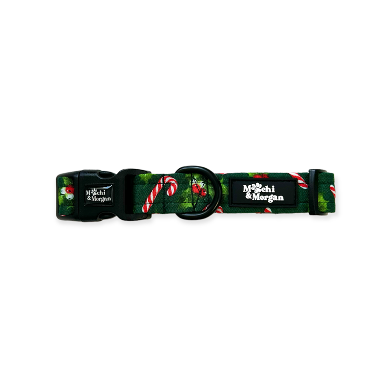 Jolly Holly Dog Collar