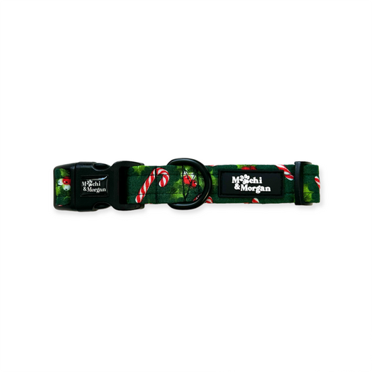 Jolly Holly Dog Collar