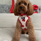 Shakespeare In Love Harness