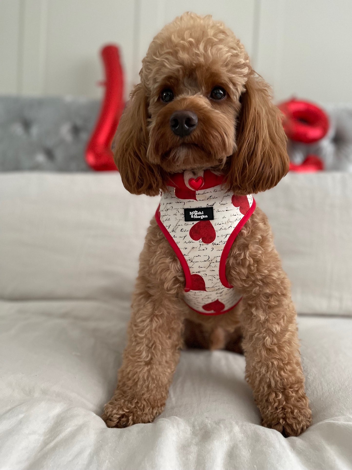 Shakespeare In Love Harness