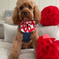 Love Me Sailor Bow