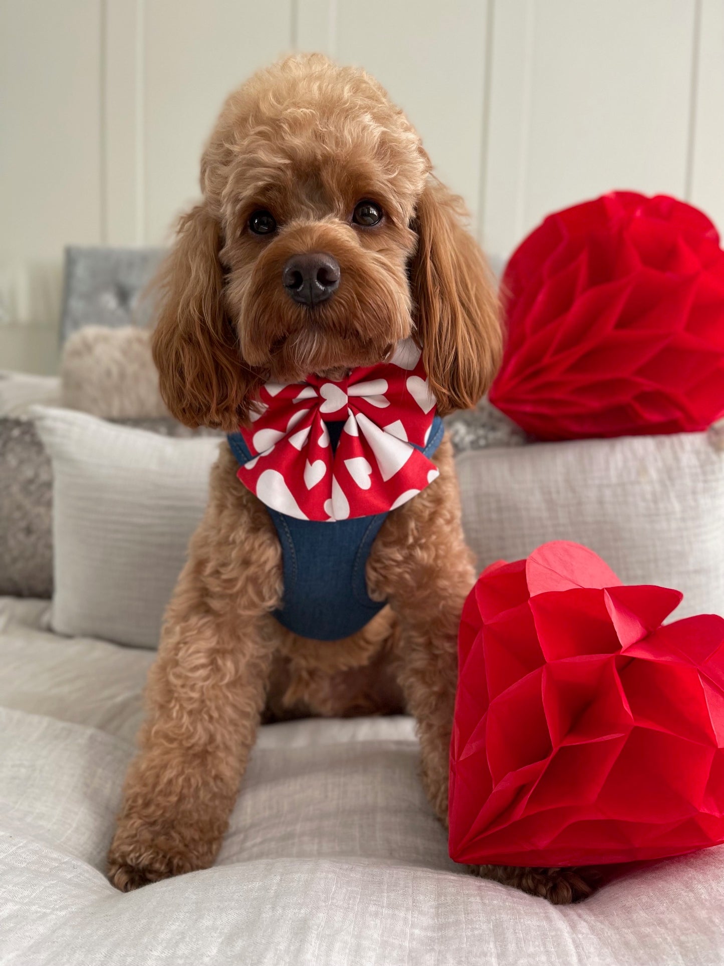 Love Me Sailor Bow