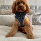 Dark Blue and Handsome Harness